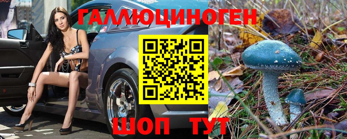 Галлюциногенные грибы мухоморы Калач-на-Дону